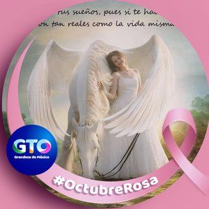 Meet your Posher, Juanita